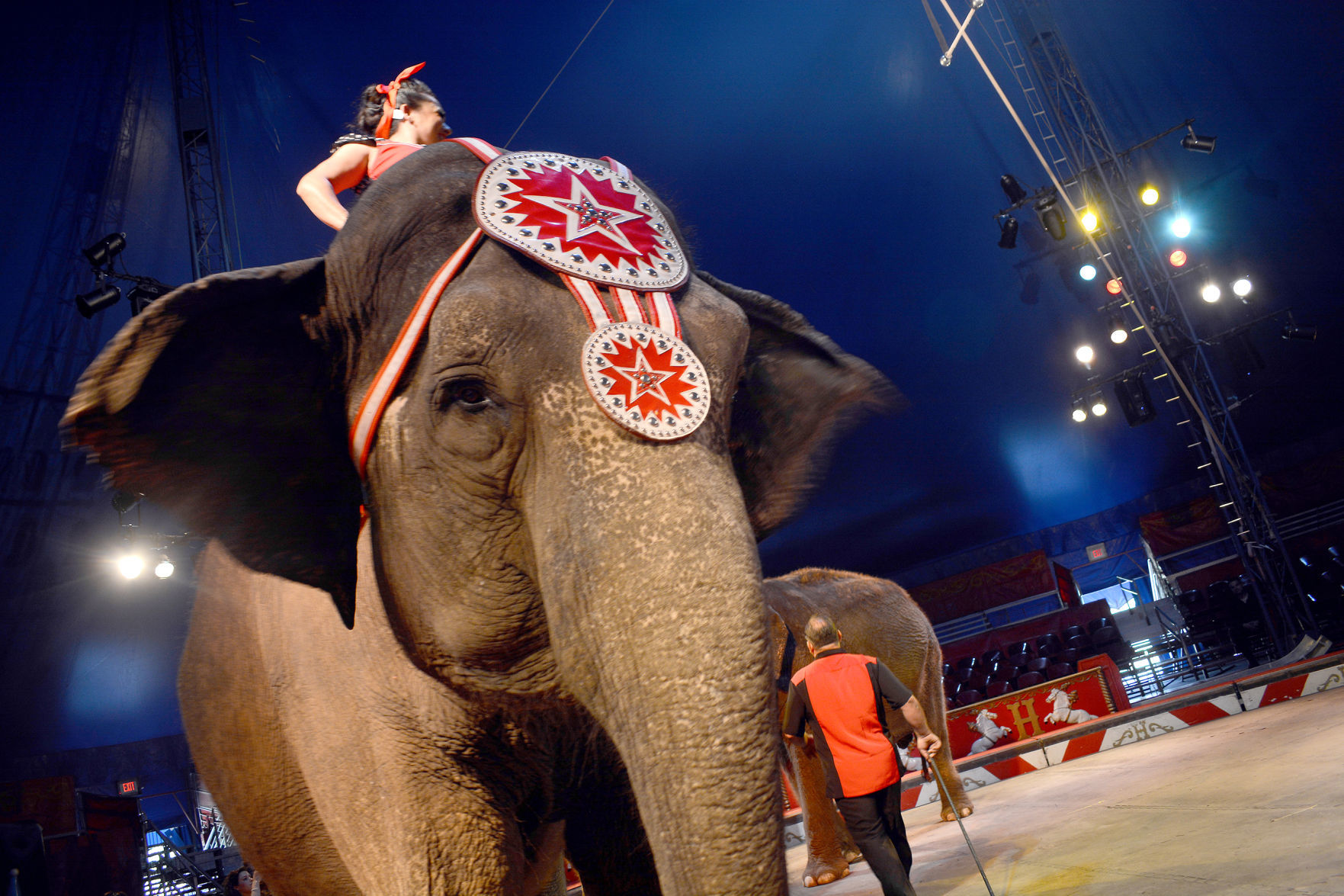 051918-bara-news-circus31